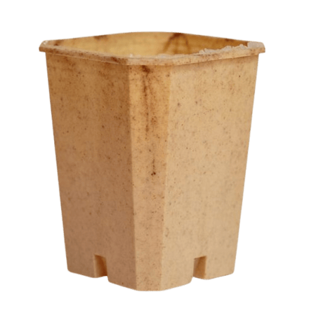 Compostable Planting Pot Biodegradable Compostable Pots | Compostify